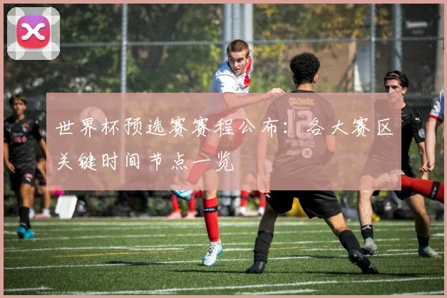 世界杯预选赛赛程公布：各大赛区关键时间节点一览